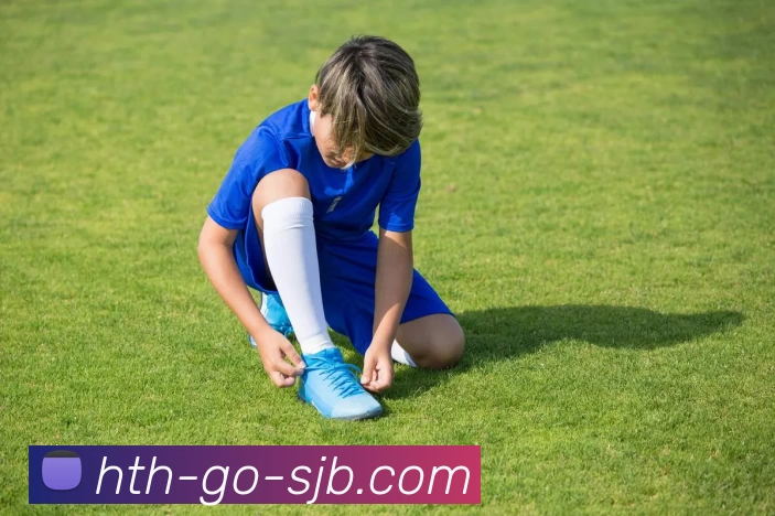 华体会移动端，华体会移动端，华体会官网，华体会APP，华体会移动观看平台生态图